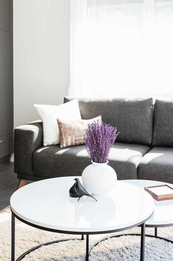 Lamira - Serviced Apartments チューリッヒ エクステリア 写真